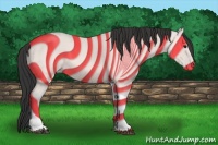 Horse Color:Bay Tobiano 