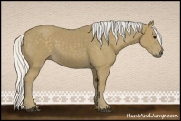 Horse Color:Silver Smoky Black 
