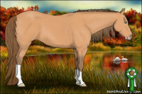 Horse Color:Gray Perlino 