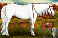 Horse Color:Gray Buckskin Splash 