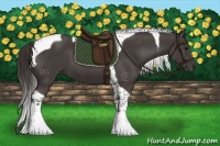 Horse Color:Smoky Black Tobiano 