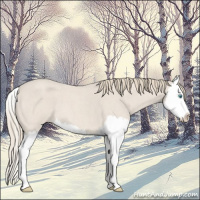 Horse Color:Smoky Creme Roan Splash 