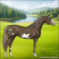Horse Color:Chocolate Palomino Frame 