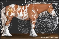 Horse Color:Silver Bay Sabino Near Leopard  and Silver Bay Sabino 