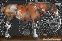 Horse Color:Silver Bay Sabino Rabicano  and Gray Liver Chestnut Sabino Rabicano