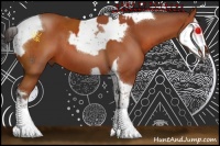 Horse Color:Bay Sabino Tobiano  and Bay Sabino Splash Tobiano
