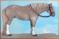 Horse Color:Platinum Chestnut 