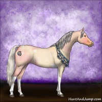 Horse Color:Silver Buckskin Roan Dun Tobiano 
