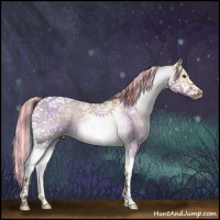 Horse Color:Painted White Spotted Silver Bay Dun Tobiano