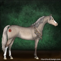 Horse Color:Silver Brown Dun Mushroom Appaloosa