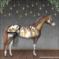 Horse Color:Chocolate Palomino Onyx Blanket 