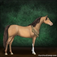 Horse Color:Sable Cream Champagne 