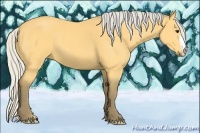 Horse Color:Silver Buckskin 