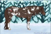 Horse Color:White Spotted Liver Chestnut Rabicano 