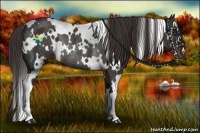 Horse Color:White Spotted Liver Chestnut Rabicano 