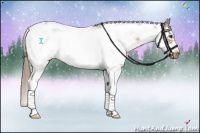 Horse Color:Chocolate Palomino Sabino Frame 