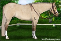 Horse Color:Silver Buckskin Roan Dun 