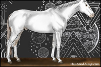 Horse Color:Red Dun Roan Fewspot 