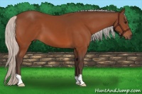 Horse Color:Silver Bay