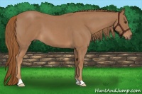 Horse Color:Red Roan 