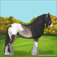 Horse Color:White Spotted Blue Onyx Tobiano Appaloosa 