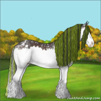 Horse Color:Painted Bay Ice Sabino Splash Appaloosa 