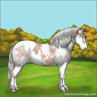 Horse Color:White Spotted Silver Bay Ice Sabino Splash Varnish 