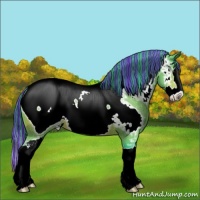 Horse Color:Painted Watercolor Bay Sabino Splash Appaloosa