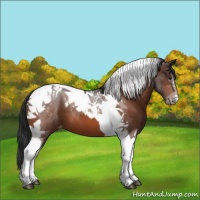 Horse Color:Bay Tobiano Varnish 