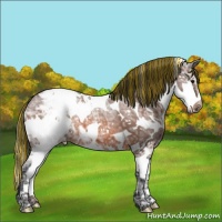 Horse Color:Painted White Spotted Bay Ice Sabino Splash Varnish 