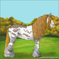 Horse Color:Painted Chestnut Ice Sabino Splash Varnish 