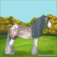 Horse Color:Painted Bay Ice Splash Appaloosa