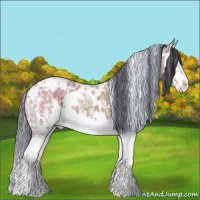 Horse Color:Painted White Spotted Bay Ice Sabino Splash Appaloosa 