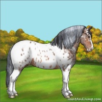 Horse Color:Painted Bay Ice Sabino Tobiano Near Leopard 