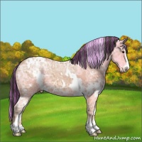 Horse Color:Painted White Spotted Bay Ice Sabino Appaloosa