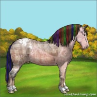 Horse Color:Painted Plaid Bay Ice Appaloosa