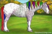 Horse Color:Painted Grullo Ice Sabino Splash Appaloosa 