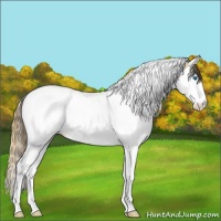 Horse Color:Plaid  Buckskin Ice Splash Tobiano Blanket 