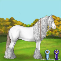 Horse Color:White Spotted Red Dun Splash Appaloosa