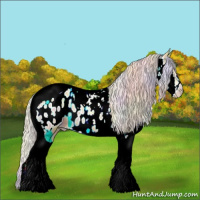 Horse Color:Nacre Palomino Splash Tobiano Appaloosa 