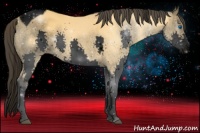 Horse Color:Void Buckskin Splash Tobiano 