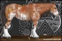 Horse Color:Bay Sabino  and Bay Sabino Frame 