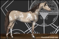Horse Color:White Spotted Liver Red Dun Rabicano 