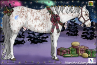 Horse Color:Platinum Bay Sabino  and Platinum Bay Sabino 