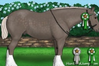Horse Color:Silver Black 