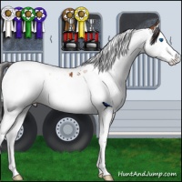 Horse Color:Bay Splash Tobiano
