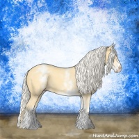Horse Color:White Spotted Gold Cream Champagne