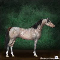Horse Color:Gray Red Ice Roan  and Gray Brown Ice Roan 