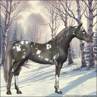 Horse Color:Platinum White Spotted Liver Chestnut 