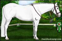 Horse Color:Gray Bay Roan